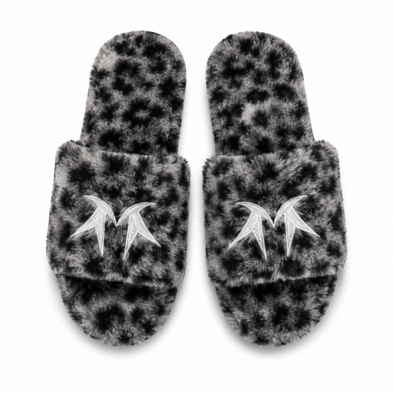 Monarchs Slides