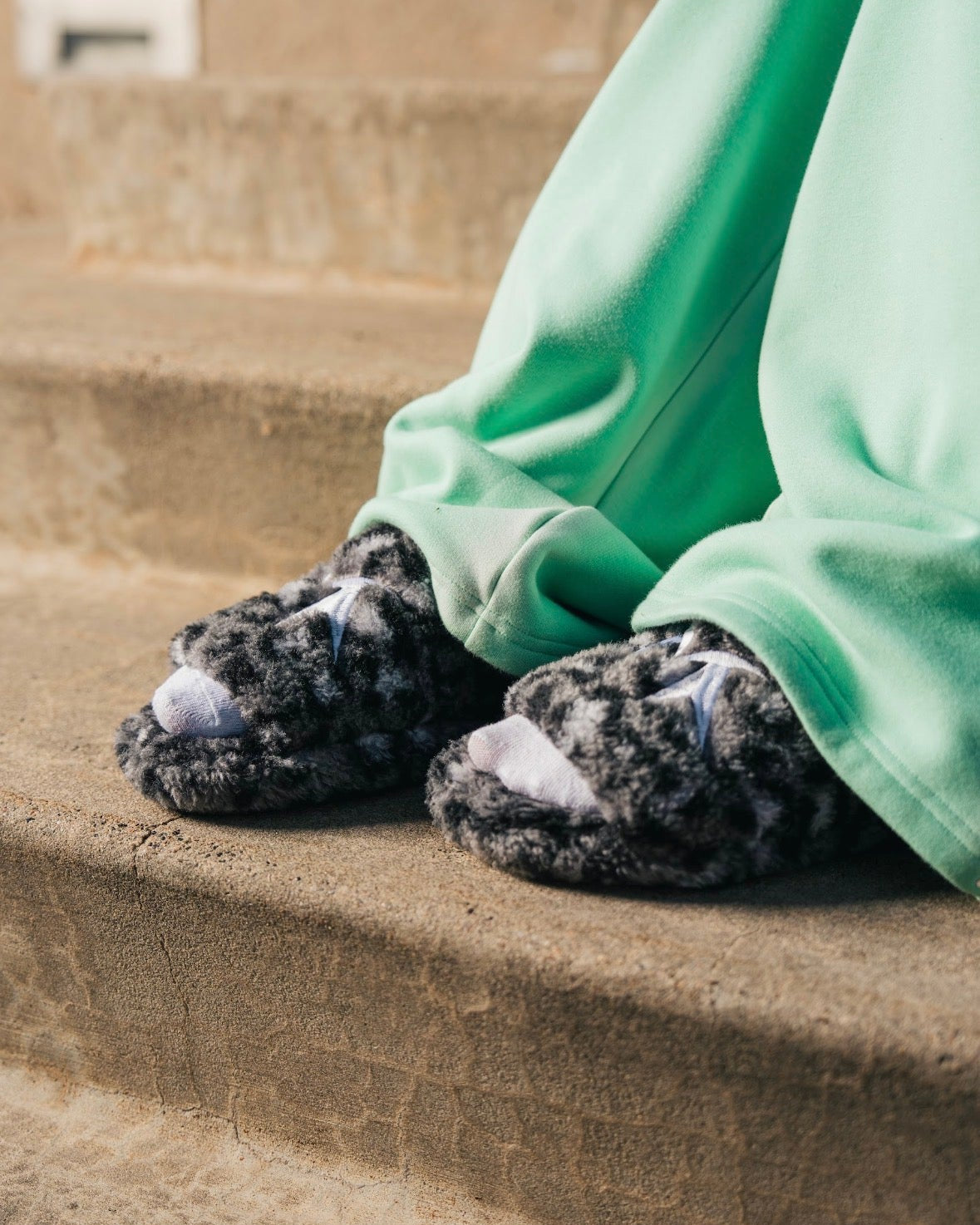 Monarchs Slides